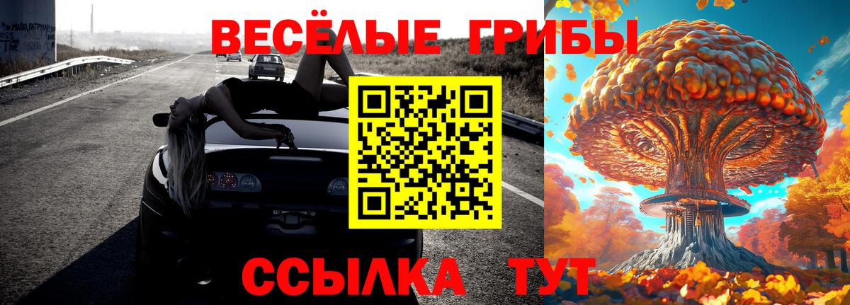 Галлюциногенные грибы мухоморы Майский