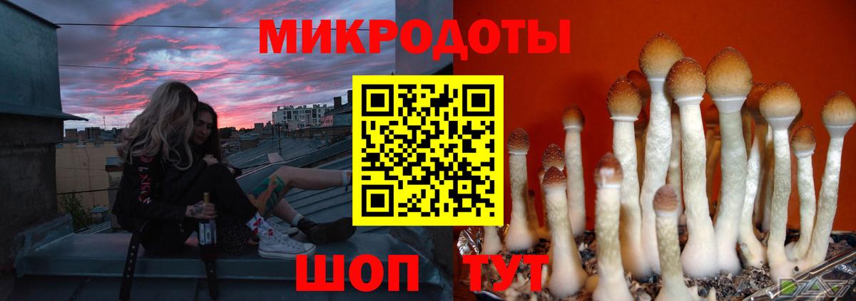Майский  Галлюциногенные грибы Psilocybe  Вход с VPN 